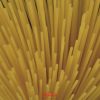 Gluténmentes Spagetti 500gr. - Szendrei Száraztészta